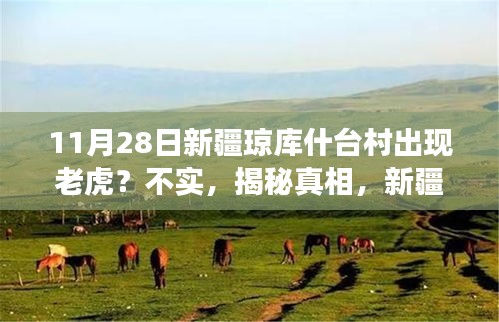 新疆瓊庫什臺村老虎事件揭秘，智能科技產(chǎn)品的全新體驗之旅——不實傳聞背后的真相探索