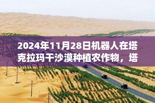 塔克拉瑪干沙漠機(jī)器人農(nóng)業(yè)革命，種植挑戰(zhàn)與未來展望（2024年）
