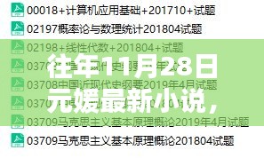 往年11月28日元媛最新小說詳解與閱讀攻略，輕松引領(lǐng)你進(jìn)入學(xué)習(xí)之旅