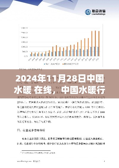 中國水暖行業(yè)在線發(fā)展展望，未來趨勢與洞察（2024年視角）