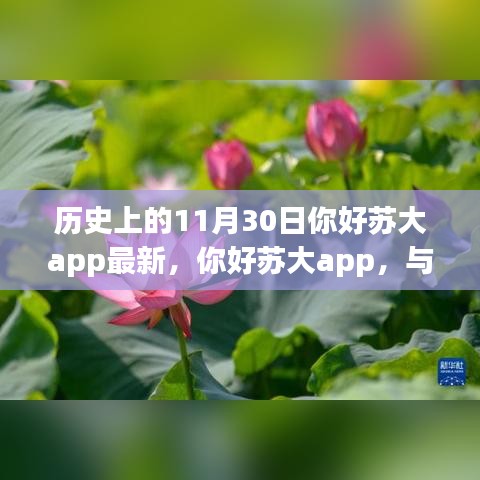 啟程尋找內(nèi)心的平和，你好蘇大app與自然美景的奇妙邂逅歷史上的11月30日回顧