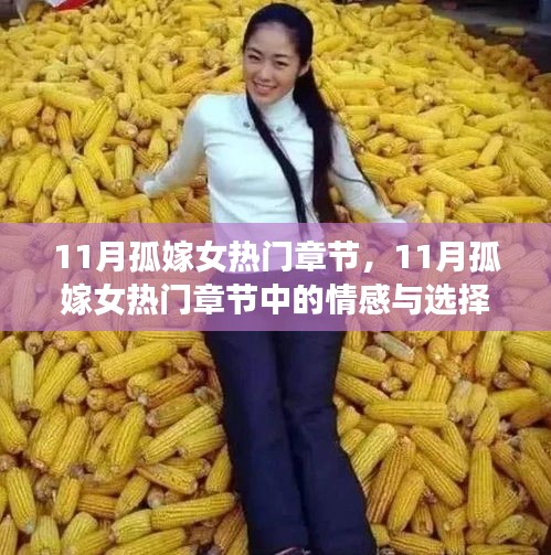 深度解析與觀點闡述，11月孤嫁女熱門章節(jié)中的情感與選擇之路