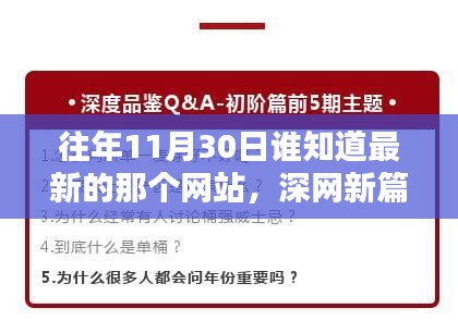 揭秘深網(wǎng)新篇，十一月三十日時代印記網(wǎng)站回顧