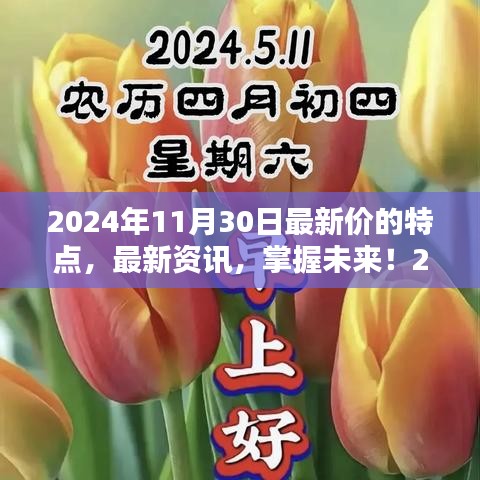 掌握未來！2024年11月30日最新價(jià)特點(diǎn)與獲取指南