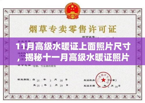 揭秘十一月高級水暖證照片尺寸要求，專業(yè)指南來自小紅書