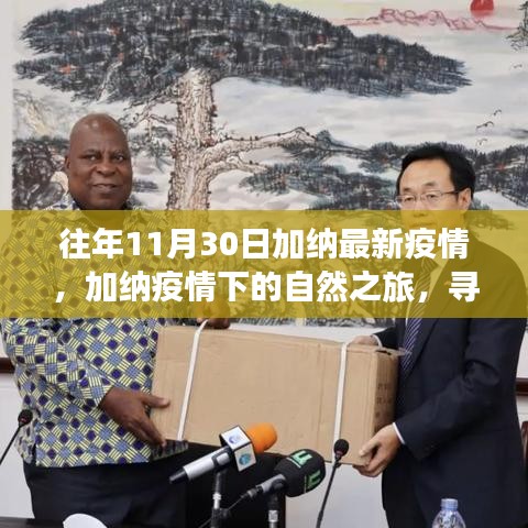加納疫情下的自然之旅，尋找內(nèi)心的寧靜與自然的魅力（往年11月30日最新疫情背景）
