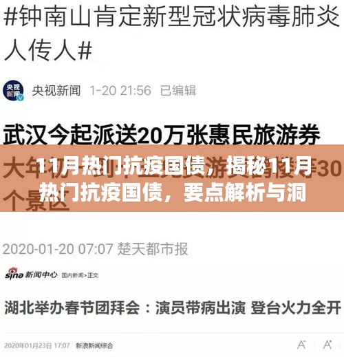 揭秘?zé)狳c抗疫國債，解析要點與洞察深度解讀