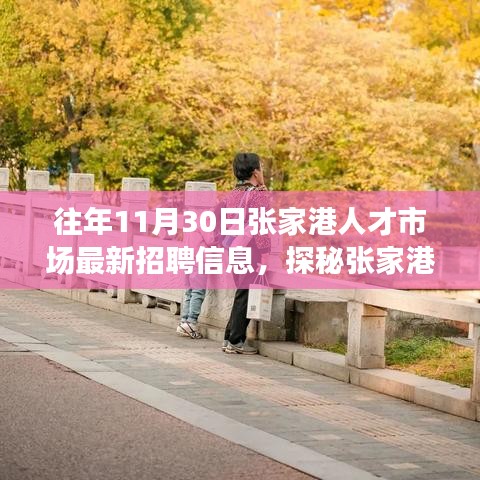 探秘張家港人才市場，最新招聘信息與小巷深處的獨特小店揭秘