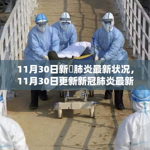 11月30日新冠肺炎最新動態(tài)解析，全面洞悉疫情現(xiàn)狀