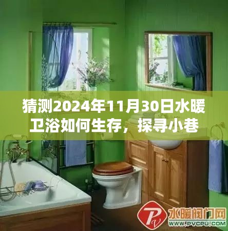 探索水暖衛(wèi)浴行業(yè)未來生存之道，小巷秘境中的特色發(fā)展預(yù)測到2024年11月30日的影響與展望