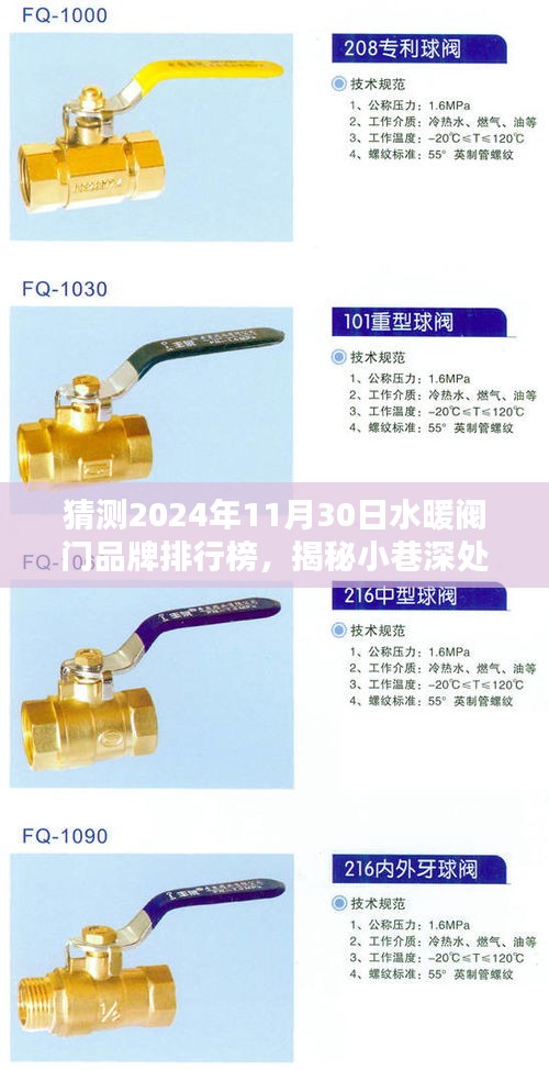 揭秘未來(lái)水暖閥門品牌排行榜，小巷深處的隱藏寶藏與未來(lái)之星預(yù)測(cè)（2024年11月30日）
