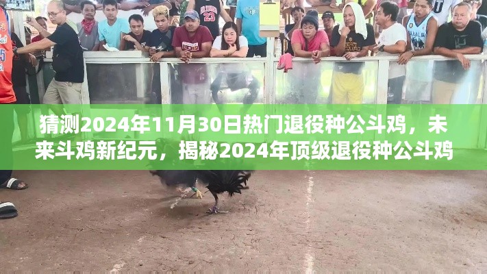 揭秘未來(lái)斗雞新紀(jì)元，頂級(jí)種公斗雞智能系統(tǒng)展望與超凡體驗(yàn)預(yù)測(cè)（2024年）