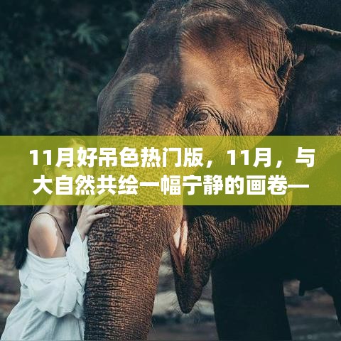 11月心靈之旅，與自然共繪寧靜畫卷的啟程