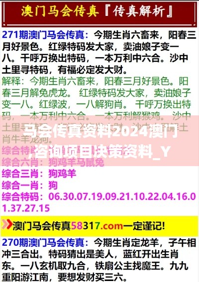 馬會傳真資料2024澳門,咨詢項目決策資料_YYD65.414高效版