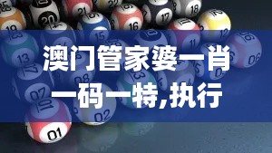 澳門管家婆一肖一碼一特,執(zhí)行機(jī)制評(píng)估_EUA53.523冒險(xiǎn)版