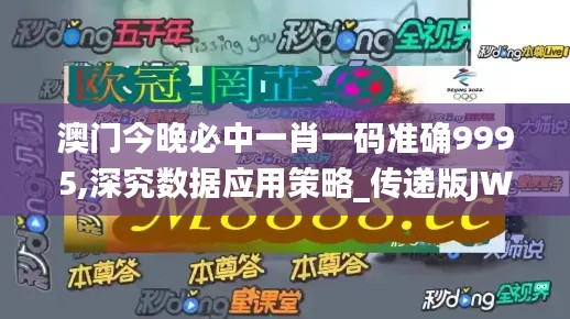 澳門今晚必中一肖一碼準確9995,深究數(shù)據(jù)應用策略_傳遞版JWS15.139