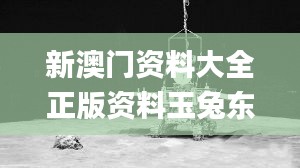 第2351頁(yè)