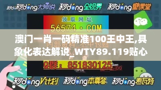 澳門一肖一碼精準(zhǔn)100王中王,具象化表達(dá)解說_WTY89.119貼心版