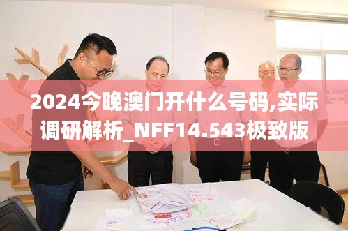 2024今晚澳門開什么號碼,實(shí)際調(diào)研解析_NFF14.543極致版