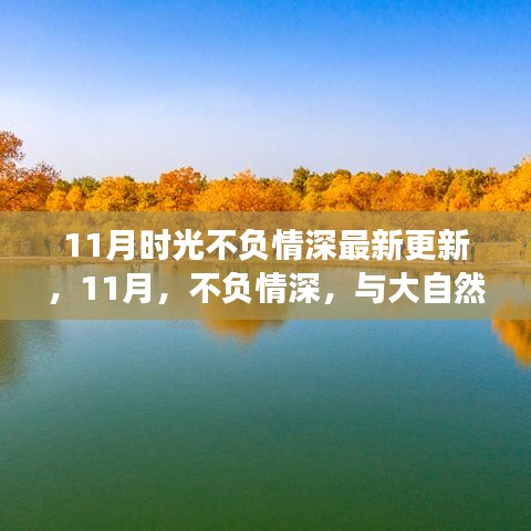 最新更新，不負(fù)情深，共舞時光——一場尋找內(nèi)心平靜的11月旅行之旅