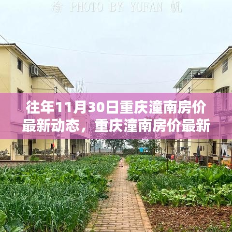 重慶潼南房價(jià)歷年11月30日動(dòng)態(tài)解析與獲取指南