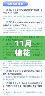11月棉花補(bǔ)貼細(xì)則最新消息與深度解析，你所關(guān)心的全面匯總