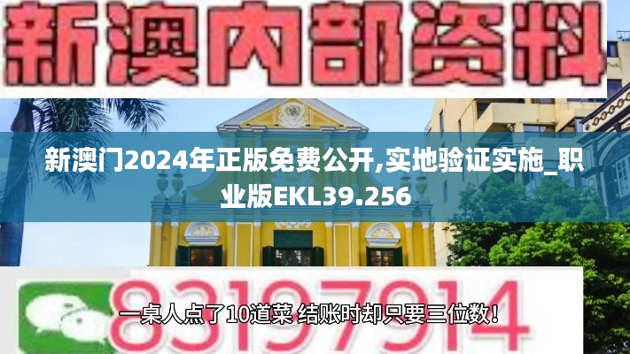 新澳門2024年正版免費(fèi)公開,實地驗證實施_職業(yè)版EKL39.256