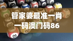 管家婆最準(zhǔn)一肖一碼澳門碼86期,解析解釋說(shuō)法_限量版TKY51.337