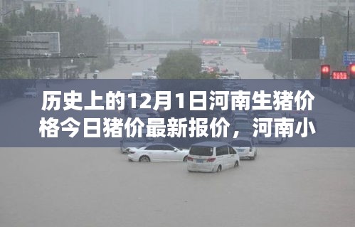 河南豬香坊，探尋歷史豬價(jià)背后的美味傳奇與秘密豬香坊今日最新報(bào)價(jià)