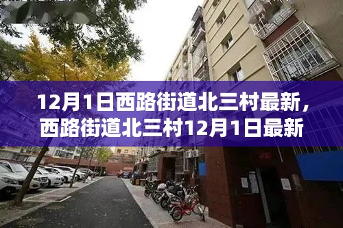 西路街道北三村12月1日最新動(dòng)態(tài)概覽，最新消息一覽無(wú)余