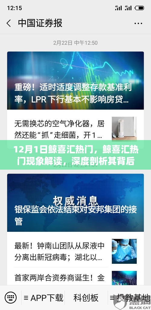 鯨喜匯熱門現(xiàn)象深度解讀，價(jià)值與爭(zhēng)議背后的探討