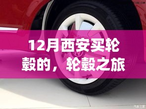 產(chǎn)品展示 第397頁(yè)