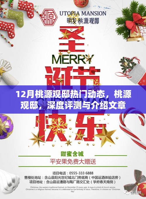 桃源觀邸深度評測與介紹，揭秘十二月熱門動態(tài)