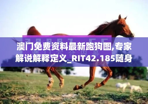 澳門免費(fèi)資料最新跑狗圖,專家解說(shuō)解釋定義_RIT42.185隨身版