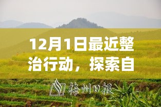 十二月整治行動，探索自然美景，凈化心靈之旅啟程在即