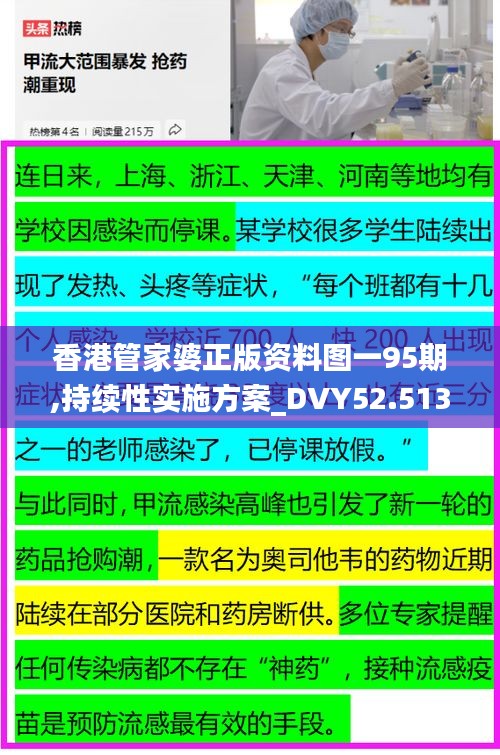 香港管家婆正版資料圖一95期,持續(xù)性實施方案_DVY52.513測試版