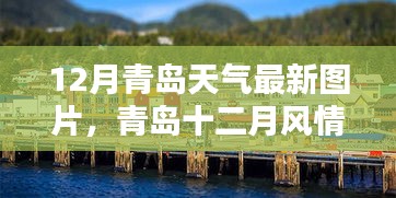 青島十二月風(fēng)情，天氣與美景最新圖鑒圖片發(fā)布