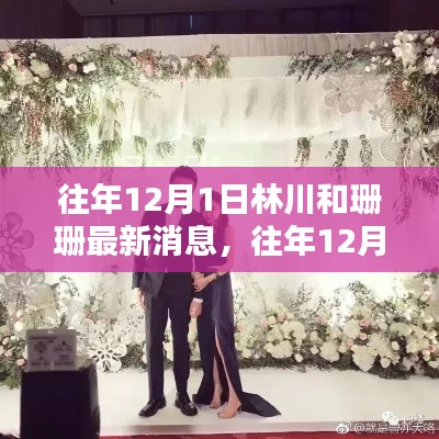 林川與珊珊，歷年12月1日最新動(dòng)態(tài)回顧
