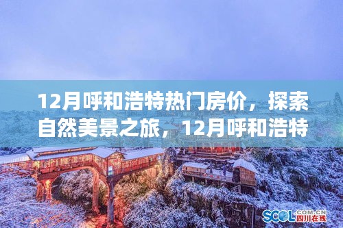 12月呼和浩特房價熱點(diǎn)與自然美景探索，尋找內(nèi)心的寧靜與平和之旅