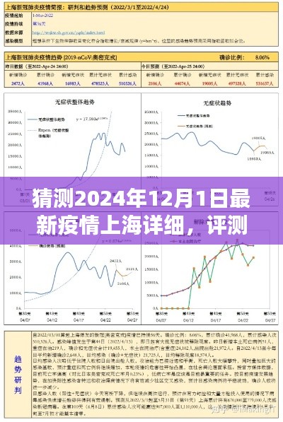 上海最新疫情動態(tài)分析報告（2024年12月），疫情趨勢預測與評測報告解讀
