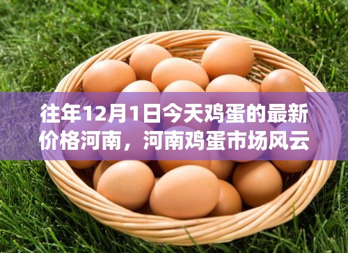 河南雞蛋市場(chǎng)風(fēng)云揭秘，往年12月1日今日雞蛋最新價(jià)格及背后故事深度剖析