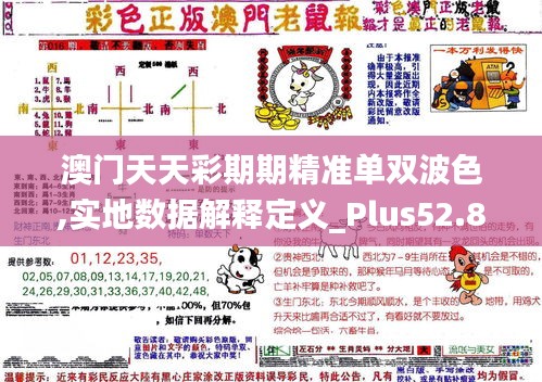 澳門天天彩期期精準(zhǔn)單雙波色,實(shí)地?cái)?shù)據(jù)解釋定義_Plus52.838-1