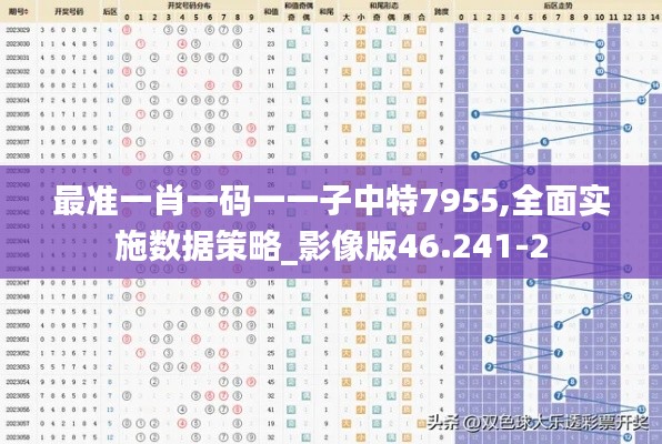 最準(zhǔn)一肖一碼一一子中特7955,全面實施數(shù)據(jù)策略_影像版46.241-2