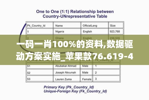 一碼一肖100%的資料,數(shù)據(jù)驅(qū)動(dòng)方案實(shí)施_蘋果款76.619-4