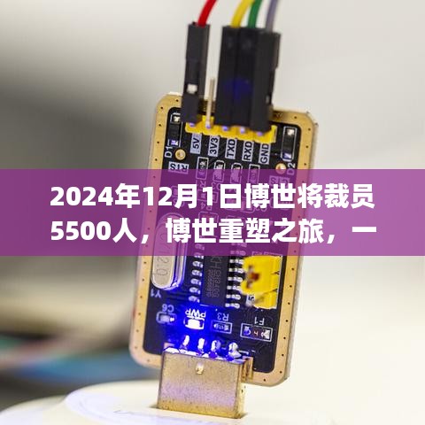 綠色啟示