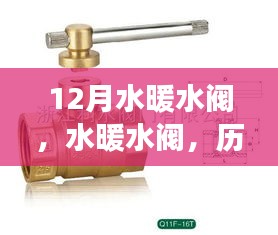 12月水暖水閥，歷史脈絡、重大事件及時代地位探究