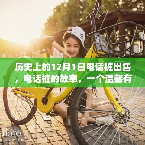 電話樁的故事，回憶之旅中的溫馨出售日——?dú)v史上的十二月一日