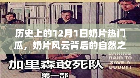 奶片風(fēng)云背后的自然之旅，尋找內(nèi)心平靜的奇妙冒險(xiǎn)之旅。