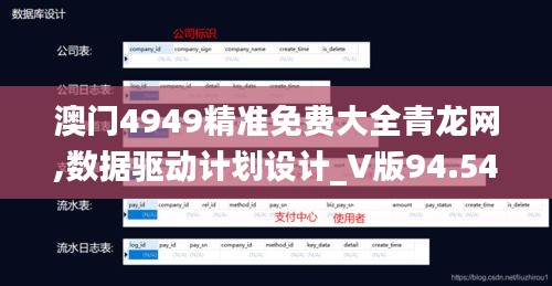 澳門4949精準免費大全青龍網,數(shù)據(jù)驅動計劃設計_V版94.542-5
