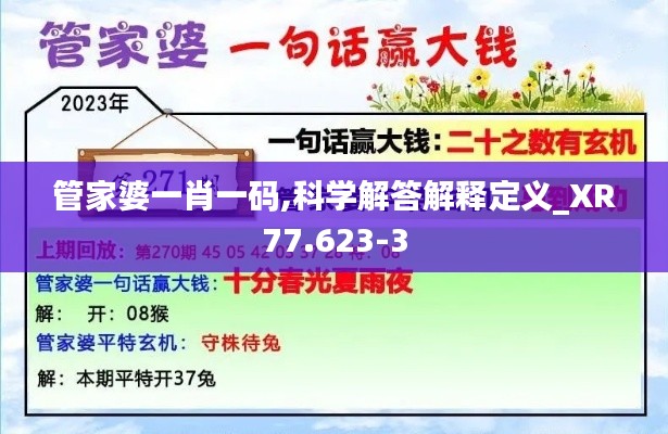 管家婆一肖一碼,科學解答解釋定義_XR77.623-3